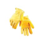 207m Golden Stag Cowhide Driver Gloves Medium 763476020735