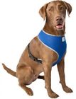 22093485 Simplydog Cblt Reflective Tstrap Hrns Xl Color May 886440427948