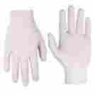 2316s Custom Leathercraft Gloves Latex Disp Powder 084298231629