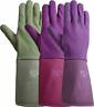C7353acs 639751450019 Lfs Glove Womens Tuscany Small Gauntlet Multicoloured