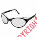 763-s6311 Uvex By Sperian Bandit Replacement Lens