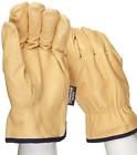 9940kt-xl-v Westchester Pk Premium Pigskin Full Leather Work Glove With Thinsulate