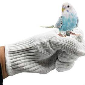B08pp5jrk9 Alfyng Bird Training Anti-bite Parrot Chewing Protective Gloves Small Animal