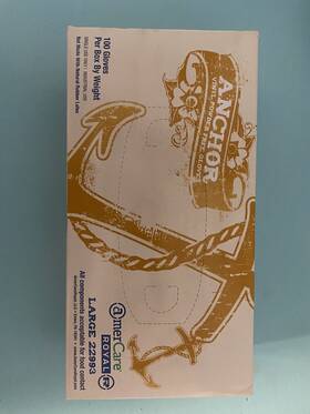 22993 Anchor Amercare Large Gloves