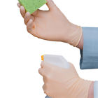 Bxpglv2102l Glv2102l Box Partners Latex Gloves Exam Grade Large White 848109035581