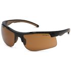 Chb718dt Carhartt Rockwood Safety Glasses Black 811907029731