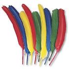 Ckc4503  Creativity Street Chenille Kraft Quill Feathers 999996637348