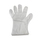 M64800 Baumgartens Inc Disposable Gloves 085288648007