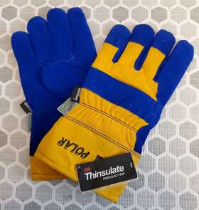 706465nk North Polar Thinsulated Gloves
