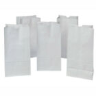 Pac72120 Pacon Corporation Rainbow Bags White 029444721203
