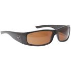 Polarized Safety Eye Glasses Erb Protection 17923 720609179234 Industries .