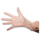 Sezhpef203 Hpef203 Semperguard Foodsafe Stretch Poly Gloves Clear Medium Polyethylene