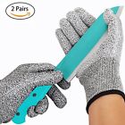 Tf-cg-001 Tfboys Cut Resistant Gloves Pack Of Protection Food 603894400781
