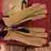 Wapa0116t Forester Gloves