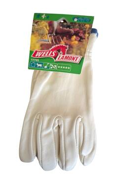 17745 Wells Lamont New Durable Leather Work Gloves Woman S Small