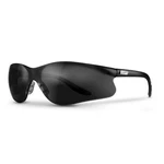 Safety ESE-6STB Sectorlite Glasses Smoke Polycarbonate Ansi Z87.1. Fixed Price $19.99.
