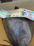Free Full Face Snorkel Mask (easy Breathe) Child Size Extra Small Xs. Fixed Price $19.99.