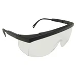 Radians GX0110ID Safety Glasses. Fixed Price $6.12.