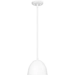 Z-lite 4501P8-MW Vega Light Inch Matte White Pendant Ceiling. Fixed Price $132.60.
