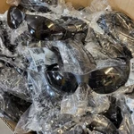 X Jackson 25631 Element Safety Glasses Black Frame Smoke Lenses Factory Sealed. Fixed Price $49.95.