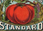 1870S-80S West Jersey Packing Co. Tin Can Standard Fresh Tomatoes Label 3M. Fixed Price $61.25.