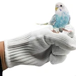 Alfyng Bird Training Anti-bite Parrot Chewing Protective Gloves, Small Animal. Fixed Price $23.74.