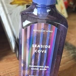 Bath & Body Works Seaside Cove Purple Palm Gel Cleansing Hand Soap. Fixed Price $19.99.