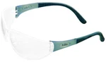 Msa Arctic Safety Glasses With Anti-fog Lens, Clear/blue 10038845. Fixed Price $10.99.