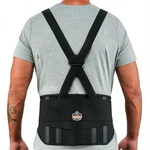 Ergodyne Proflex 1600 Back Brace, 9 Extended Support, High Cut Front. Fixed Price $22.01.