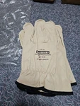 Salisbury ILP-10 Leather Protection Gloves Size 10-10 1/2 Length 10". Fixed Price $18.00.