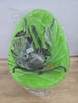 Flybar Swurfer Kiwi Toddler Swing - Green. Fixed Price $69.99.