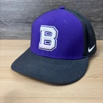 Buffalo High School Hat Cap Fitted L/xl Purple Nike Bison Baseball Minnesota. Fixed Price $13.91.