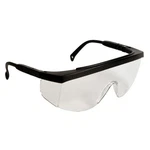 Radians G40110ID Safety Glasses. Fixed Price $9.26.