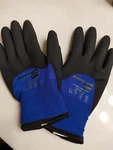 Honeywell Northflex Cold Gloves Coated Xl Pre-owned. Fixed Price $12.00.