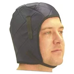 Anchor Brand 101-100F Winter Liners. Fixed Price $24.68.