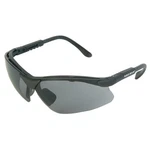 Radians RV0120CS Revelation Glasses Adult Smoke Gray Lens Anti-fog Black Frame. Fixed Price $15.61.