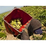 Zenport AG418-4PK Vegetable Fruit Harvest Backpack Box Of. Fixed Price $601.77.