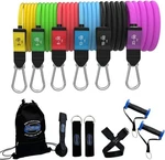 Bodylastics Resistance Band Set W/ Handles Ankle Straps Door Anchor Carry Bag. Fixed Price $92.99.