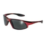 Global Vision Eyewear C8RDSM Code Smoke Lense Red Frame. Fixed Price $22.22.