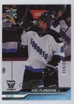 2024 Upper Deck Pwhl 1ST Edition Deluxe 59/250 Kali Flanagan #49 G1M. Fixed Price $12.04.